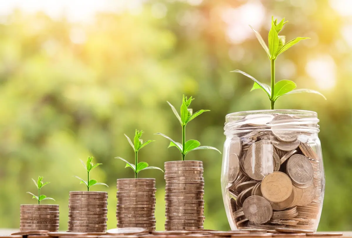 Digitale markten kansen kleine bedrijven: zo groei je zonder groot budget